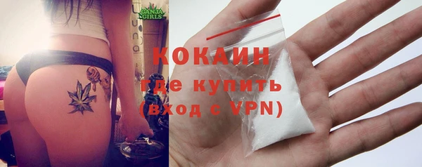 бошки Бородино