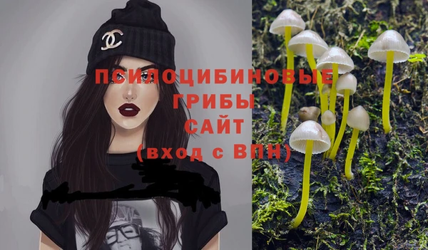 бошки Бородино