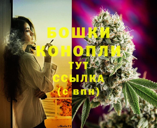 стафф Верхний Тагил