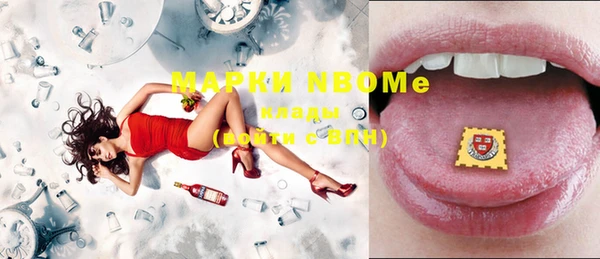 бошки Бородино
