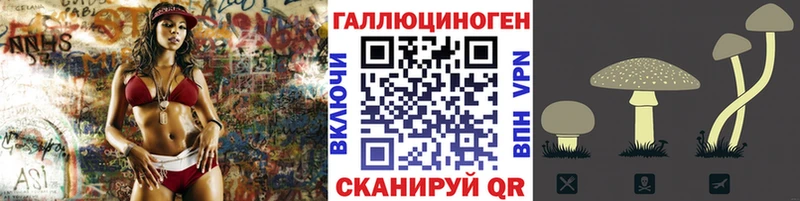 Псилоцибиновые грибы Psilocybe Медвежьегорск