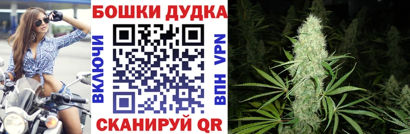 Бошки марихуана Bruce Banner  Медвежьегорск 